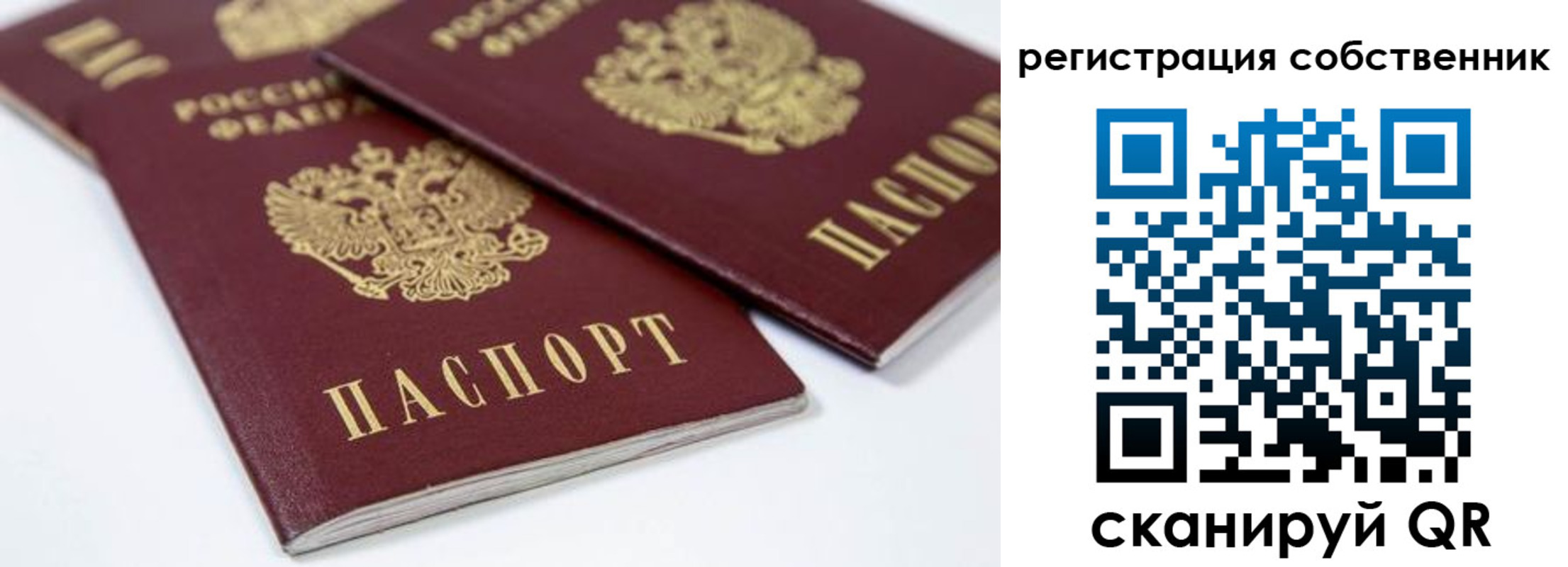 прописка для школы в Цивильске